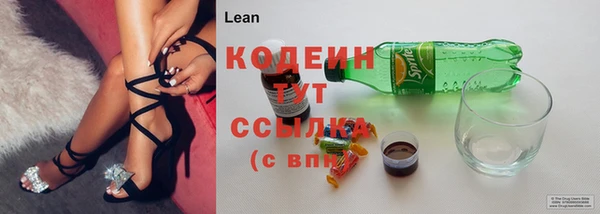 эйфоретик Арсеньев