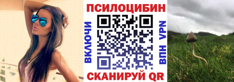 Галлюциногенные грибы Psilocybine cubensis  продажа наркотиков  Оленегорск 